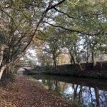 Macclesfield Canal